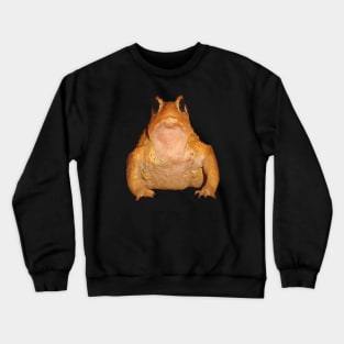 Herper Bufo Bufo European Toad Black Outline Art Vector Crewneck Sweatshirt